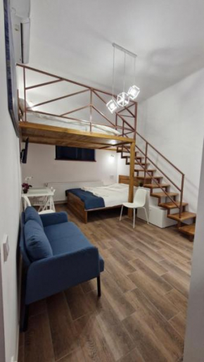 Cozy Old Town Apartment Eugen Carada Street